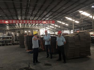 攀莲镇扎实开展安全生产隐患排查工作