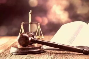 2017年度法治热词连连看 一览中国法治新变化